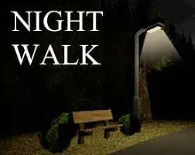 Night Walk
